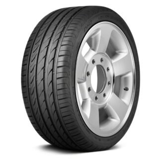 DELINTE 205/55 VR16 TL 91V DELINTE DH2